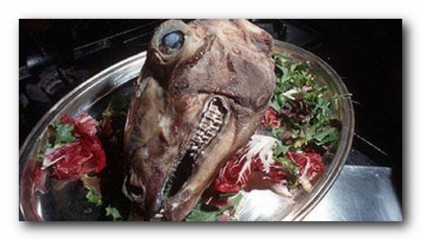 10 самых мерзких деликатесов