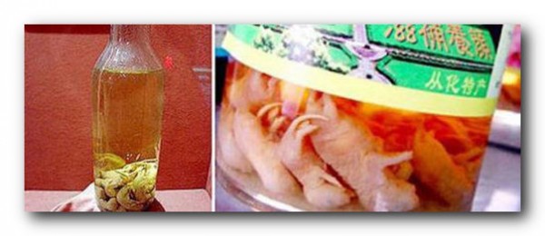 10 самых мерзких деликатесов