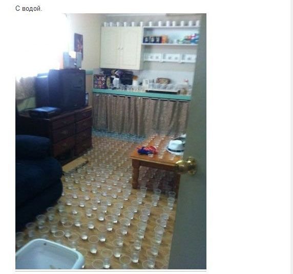 Розыгрыш, 1, первое апреля, прикол, шутка