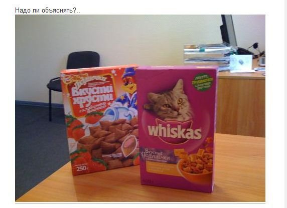 Розыгрыш, 1, первое апреля, прикол, шутка