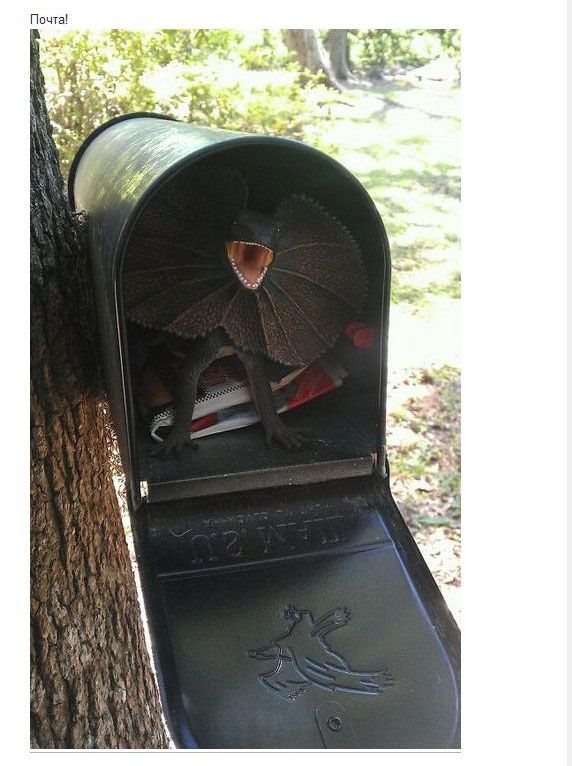 Розыгрыш, 1, первое апреля, прикол, шутка