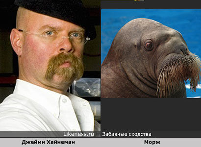 Забавные сходства мировых звёзд и персонажей мультфильмов, животных
