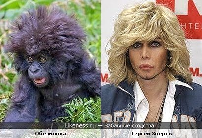 Забавные сходства мировых звёзд и персонажей мультфильмов, животных