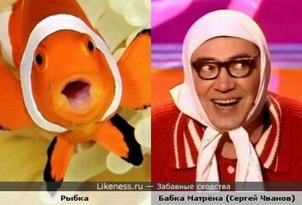 Забавные сходства мировых звёзд и персонажей мультфильмов, животных