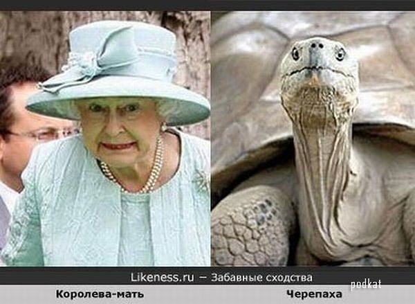 Забавные сходства мировых звёзд и персонажей мультфильмов, животных