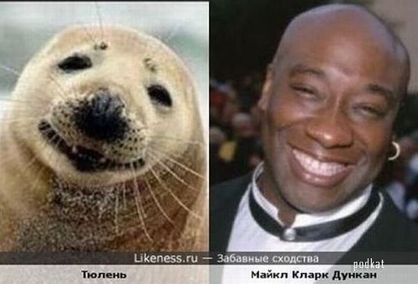 Забавные сходства мировых звёзд и персонажей мультфильмов, животных