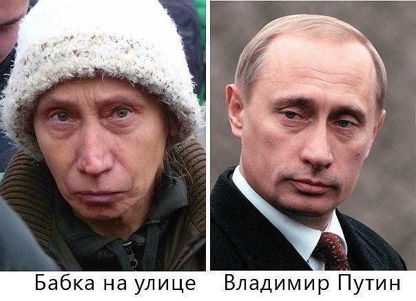 Забавные сходства мировых звёзд и персонажей мультфильмов, животных