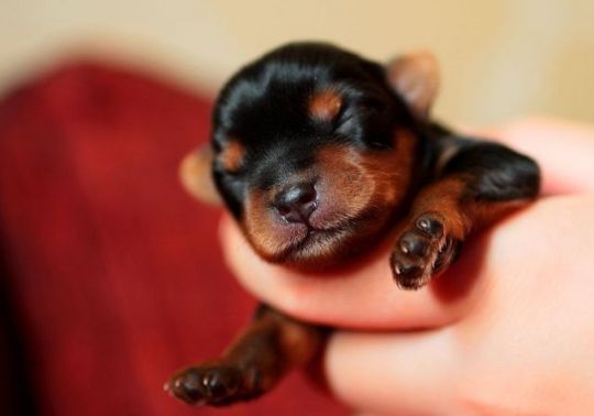 Хороший день, позитив, улыбка