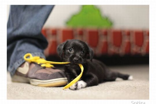 Хороший день, позитив, улыбка