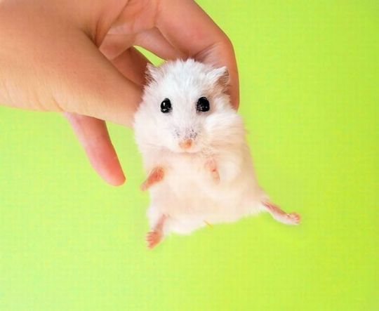 Хороший день, позитив, улыбка