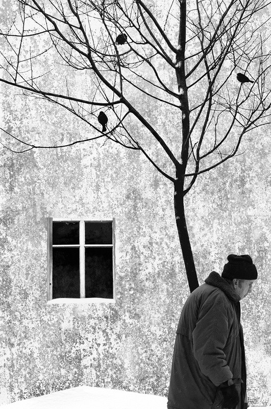 Фотографии России