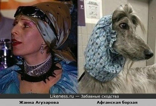 Забавные сходства мировых звёзд и персонажей мультфильмов II