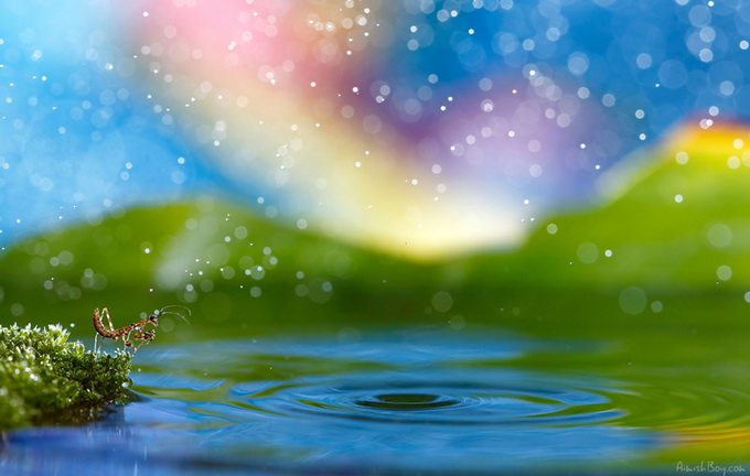 Мир насекомых в серии