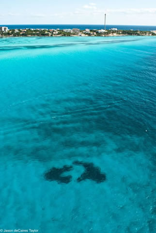 Подводный парк скульптур от Джейсона Тэйлора