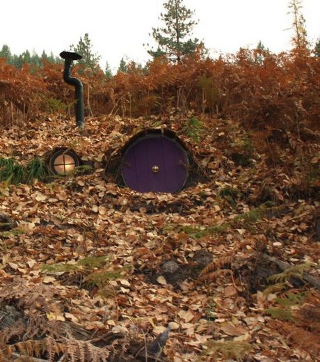 дом в ландшафте,природа, природные дома