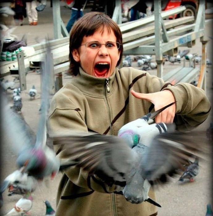 атакующие животные, животные нападают на людей