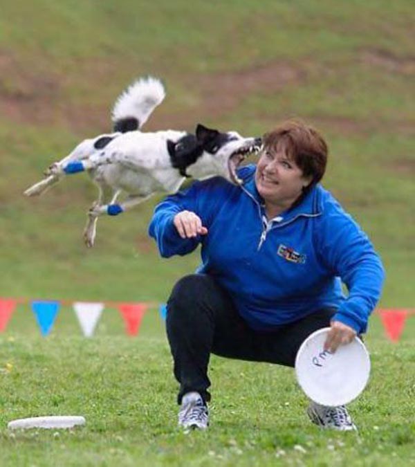 атакующие животные, животные нападают на людей