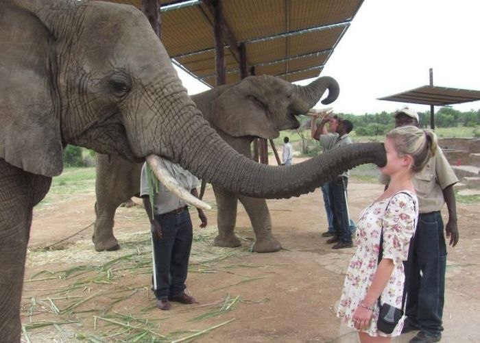 атакующие животные, животные нападают на людей