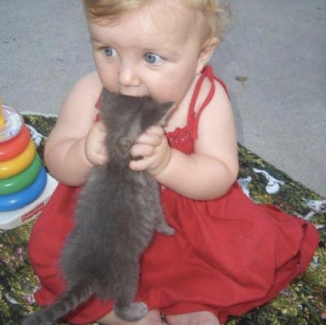 люди делают всё не так, неправильно, неудача 