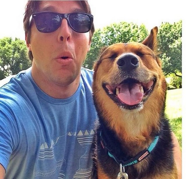 собака улыбака, улыбающиеся собаки, улыбчивые животные 