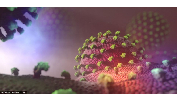 Фантастический мир внутри человека Фантастический мир, внутри человека, XVIVO , анимационная студия, науучная