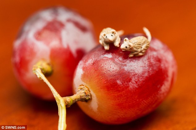 Микрофигурки, животных,модели, скульптуры, Сэди Кэмбелл, Sadie Campbell