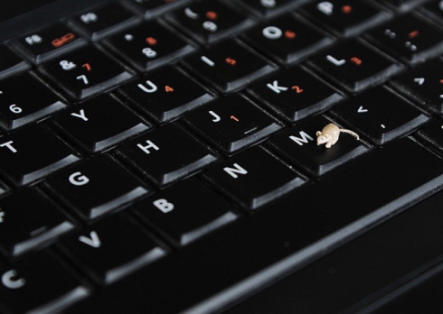 Микрофигурки, животных,модели, скульптуры, Сэди Кэмбелл, Sadie Campbell