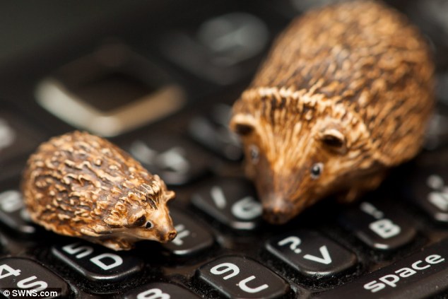 Микрофигурки, животных,модели, скульптуры, Сэди Кэмбелл, Sadie Campbell