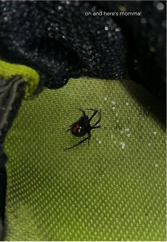 Ситуации,случай,ЧП,курьёзы