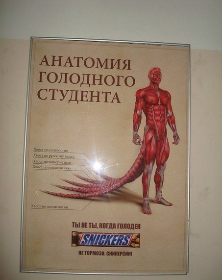 смешные, надписи,объявления, маразмы