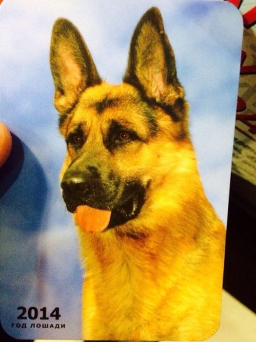 смешные, надписи,объявления, маразмы