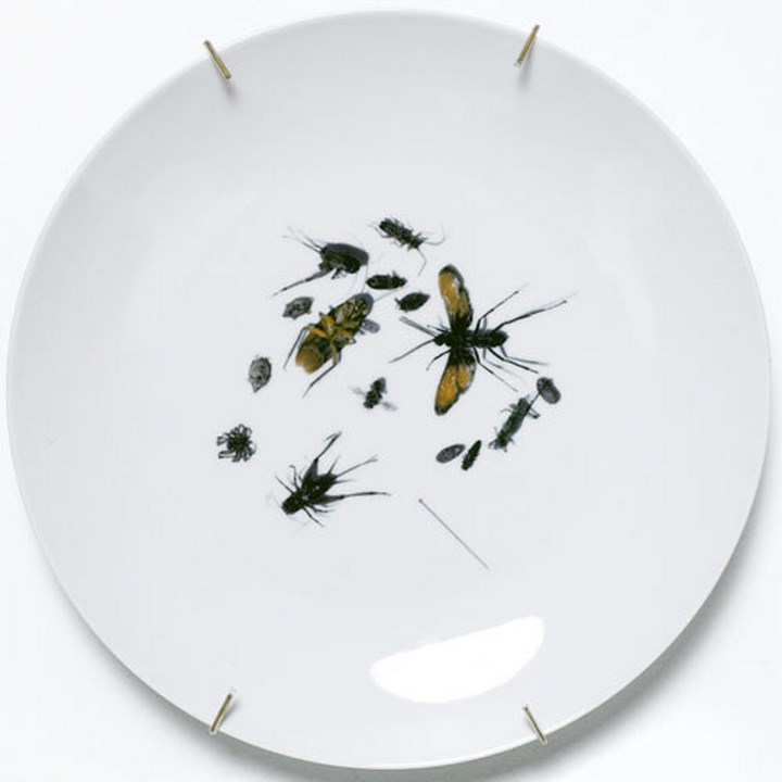  реалистичные, 3D рисунки, на посуде, patella antonello sandro roberto