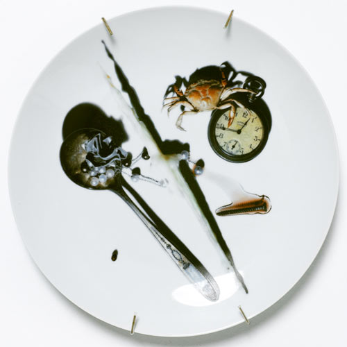  реалистичные, 3D рисунки, на посуде, patella antonello sandro roberto