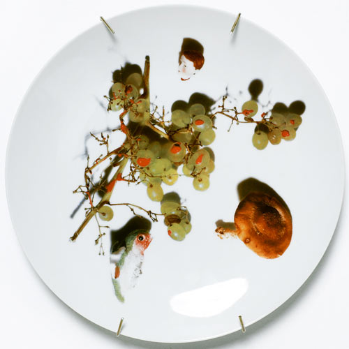  реалистичные, 3D рисунки, на посуде, patella antonello sandro roberto