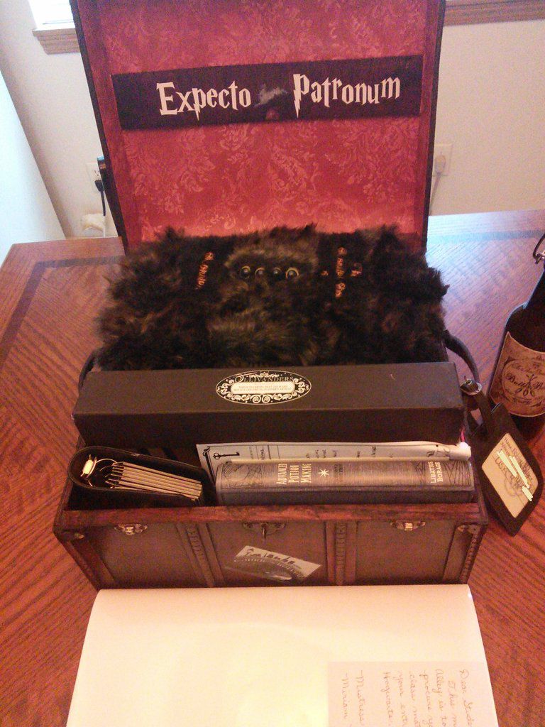 Креативный тематический подарок жене в стиле Гарри Поттера Креативный, тематический, подарок, жене,25-летие, в стиле, Гарри Поттер
