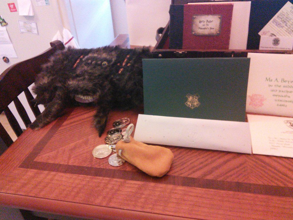 Креативный тематический подарок жене в стиле Гарри Поттера Креативный, тематический, подарок, жене,25-летие, в стиле, Гарри Поттер