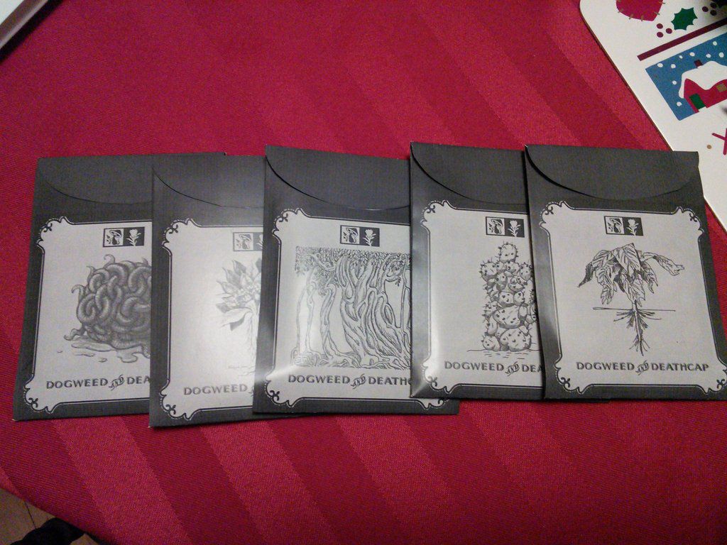 Креативный тематический подарок жене в стиле Гарри Поттера Креативный, тематический, подарок, жене,25-летие, в стиле, Гарри Поттер