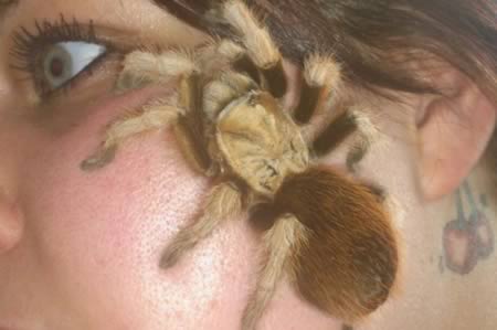 самые, странные, образы жизни, люди