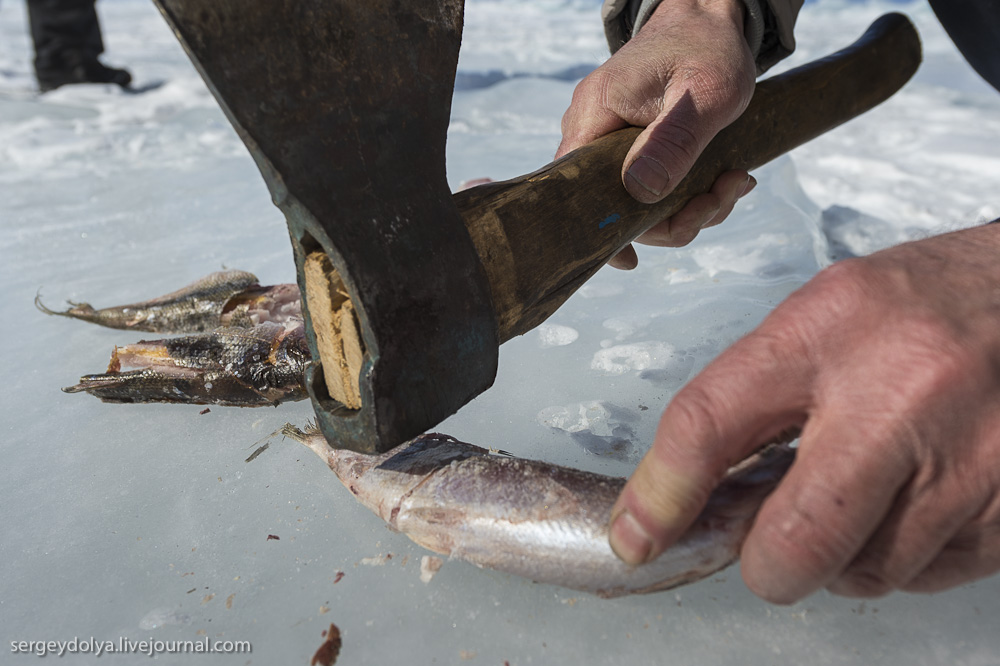 Лёд, Байкал, развлечения, курорт, фото, Ольхон, отдых,побурханить