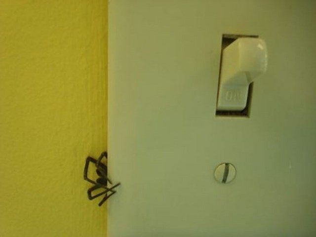 неприятные снимки и ситуации противно страх пауки