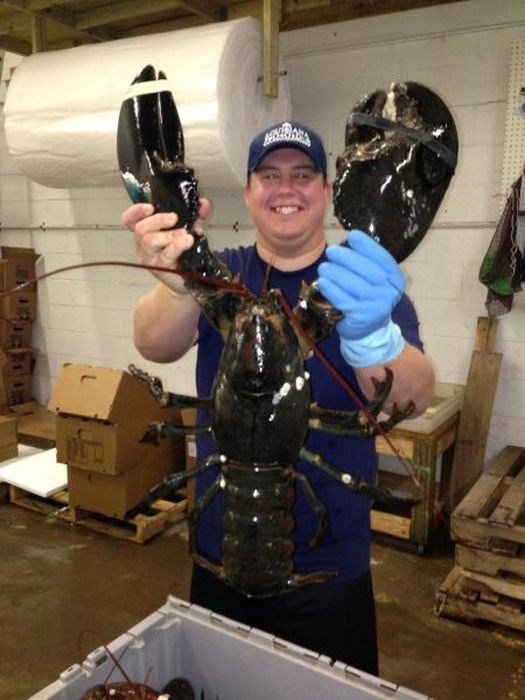 неприятные снимки и ситуации противно страх пауки