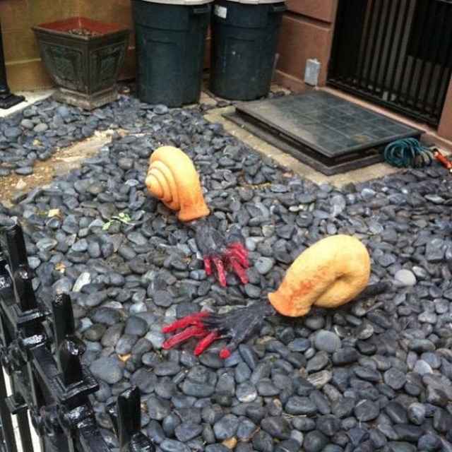 неприятные снимки и ситуации противно страх пауки