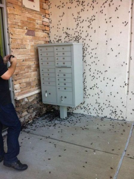 неприятные снимки и ситуации противно страх пауки