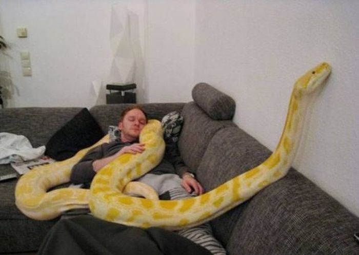 неприятные снимки и ситуации противно страх пауки