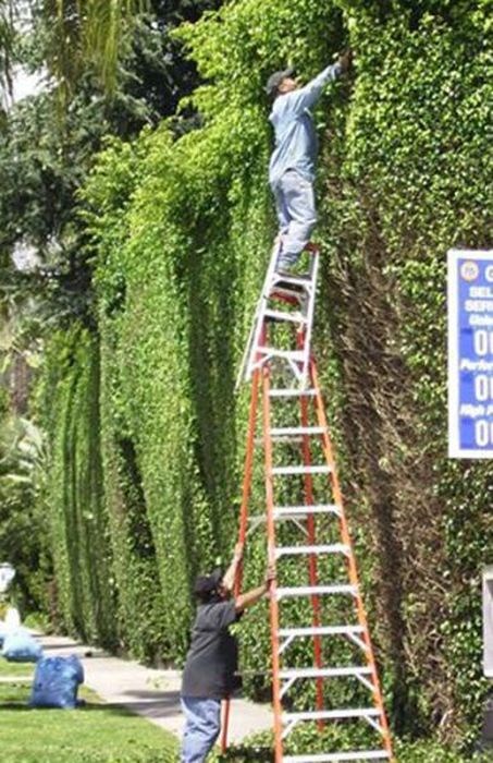 мастера безопасности,люди,смешное,человеческая глупость 