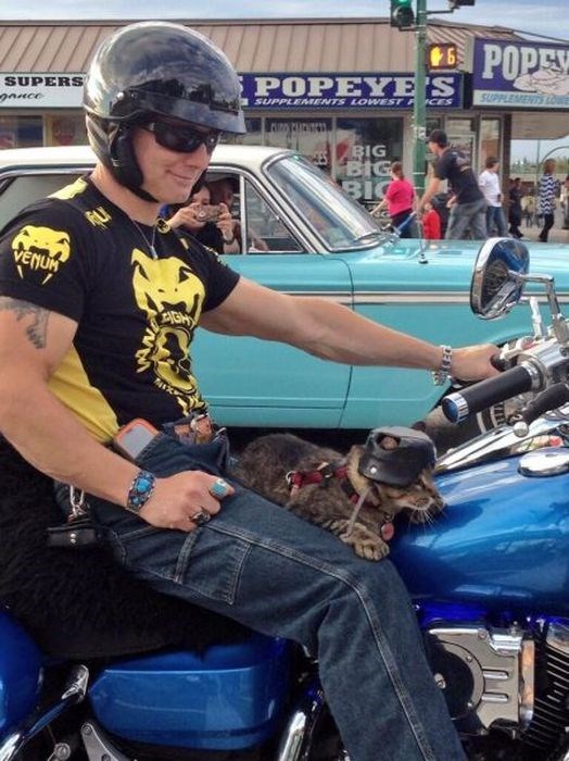 мастера безопасности,люди,смешное,человеческая глупость 