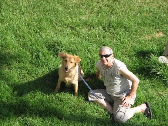 собаки,до и после,бездомные животные,приют