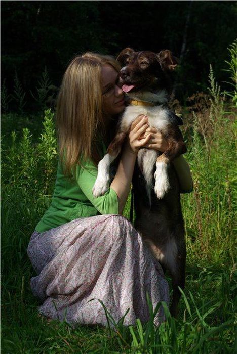 собаки,до и после,бездомные животные,приют