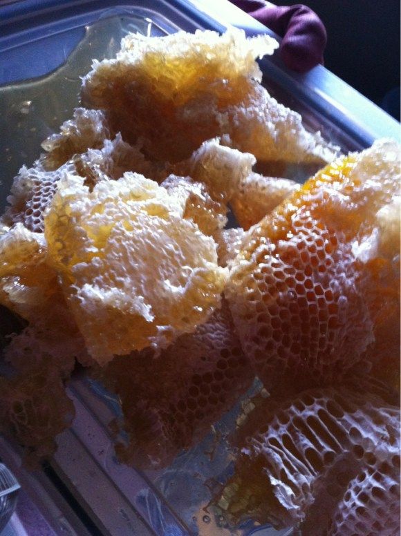 пчёлы на чердаке,японец,мёд