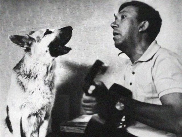 Интересные факты из жизни великого актера Юрия Никулина Юрий Никулин,факты из жизни Никулина, цитаты Никулина